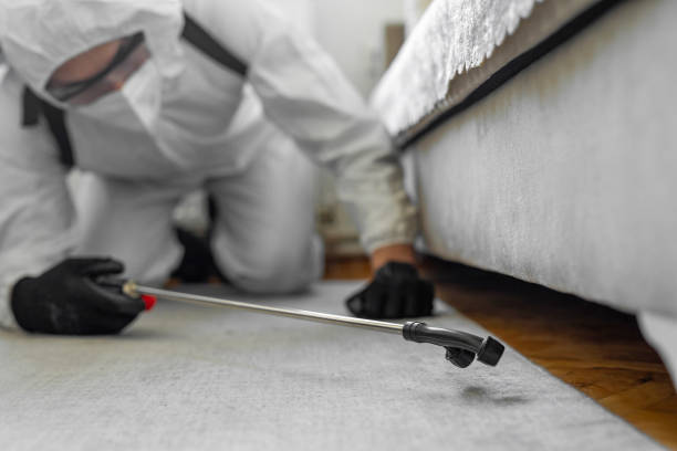 Professional Bed Bug Control technician working in Bath, ME