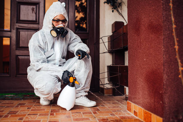 Reliable Bed Bug Control contractor in Bath, ME by Nex Pest Control